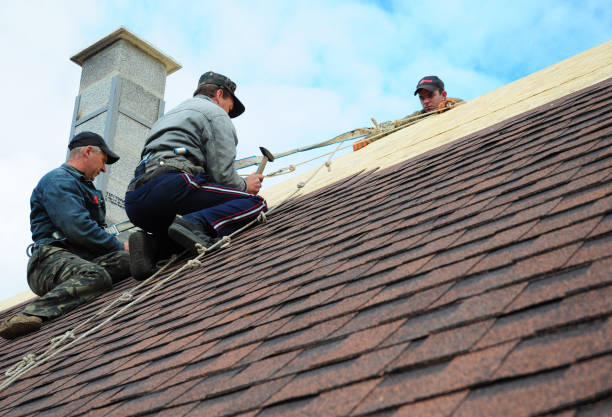 Quick and Trustworthy Emergency Roof Repair Services in Drexel Heights, AZ